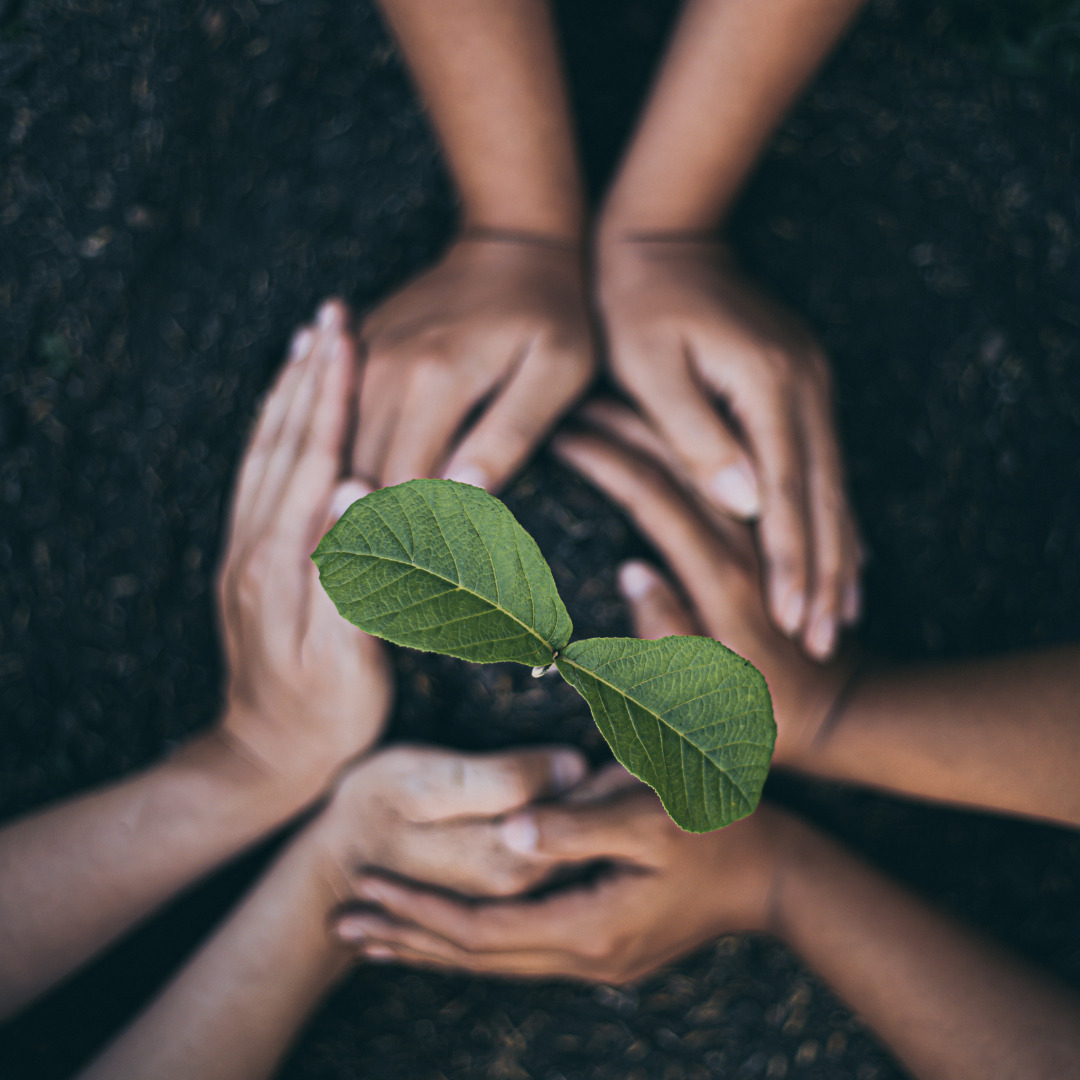 FBMC: uma rede inovadora para acelerar a economia regenerativa inclusiva e reverter os impactos das mudanças climáticas
