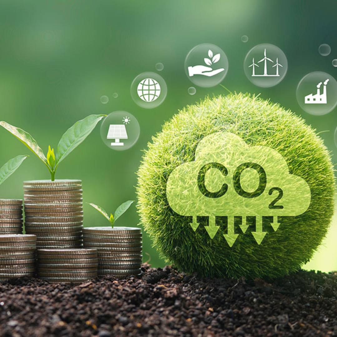 Uma lei de mercado de carbono de gente grande