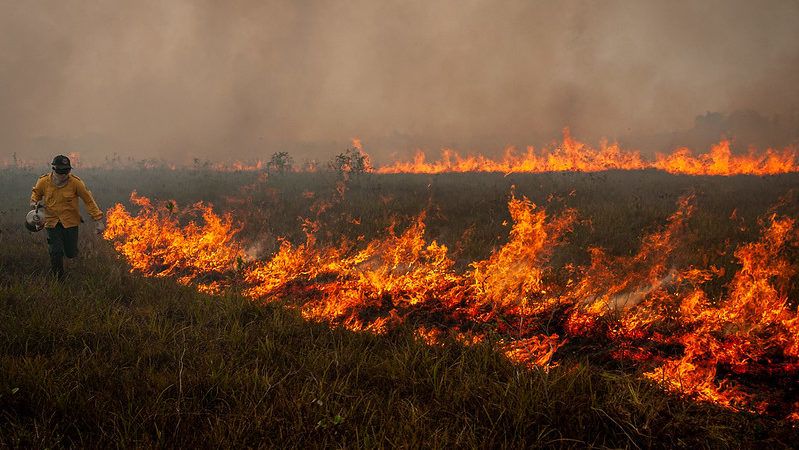 Controle das queimadas exige combate ao desmatamento ilegal e incentivo ao uso sustentável da terra