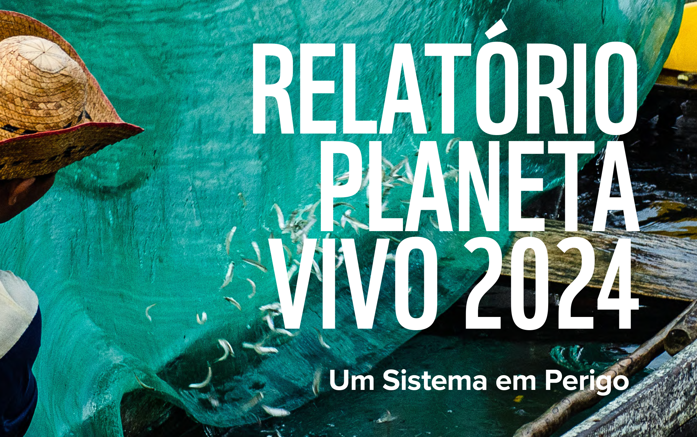 Imagem destaque