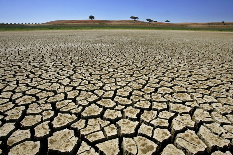 Calamidade Climática no Semiárido: Uma Tempestade Silenciosa
